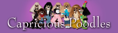 Capricious Poodles - the most unique poodles in the world!