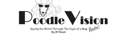 Poodle Vision - Seeing the world through the eyes of a poodle